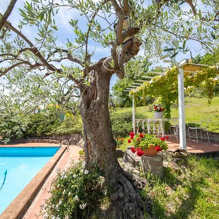Dell'angelo * Palazzo (Umbria)