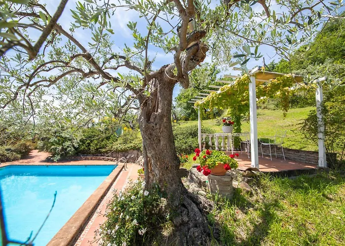 Dell'angelo * Assisi